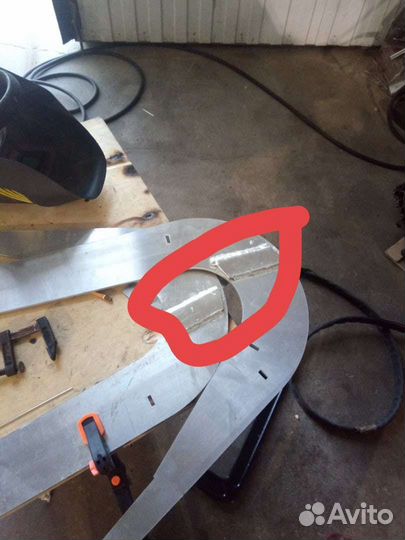 Якорь болотный зуб Зейзы