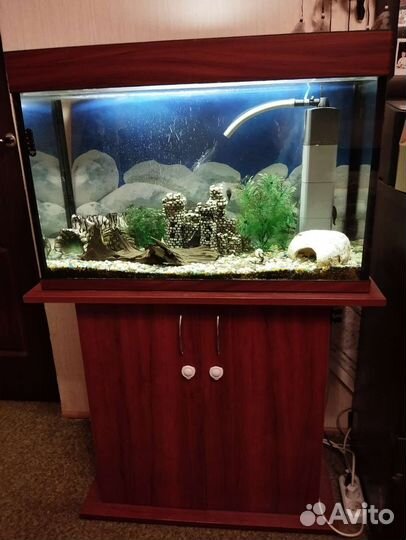 Аквариум