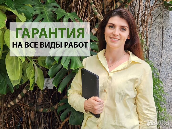 Фитостена из живых растений