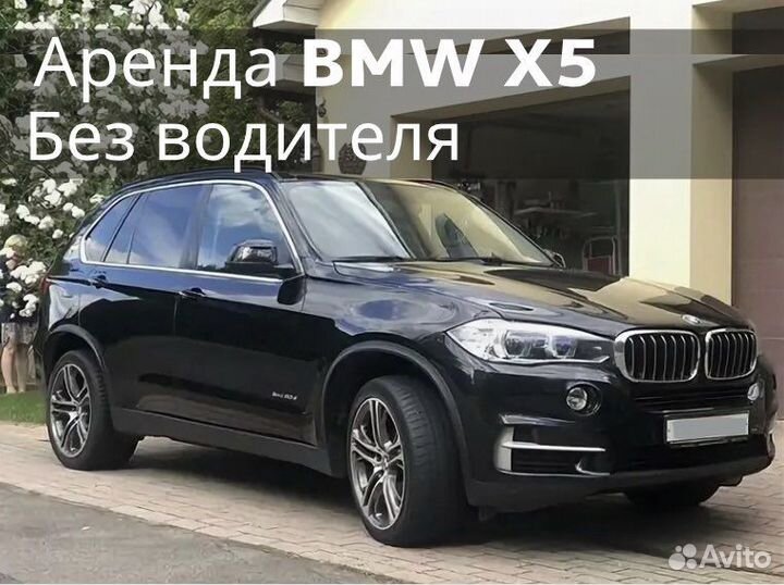 Горный Алтай. BMW X5 прокат / аренда