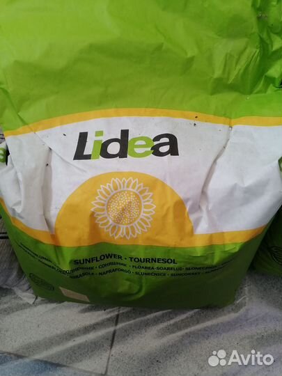 Семена подсолнечника