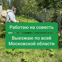 Обработка от комаров — выезд по области, Апрелевка