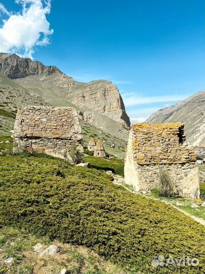 Индивидуальные экскурсии в горы