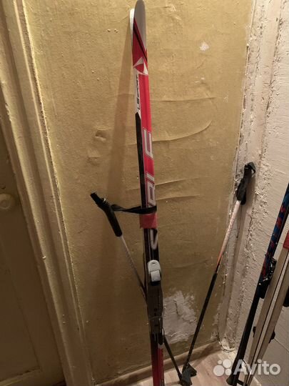 Беговые лыжи