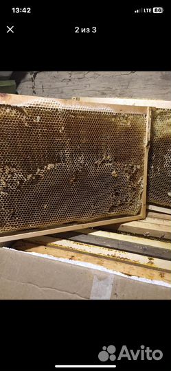 Сушь для пчел