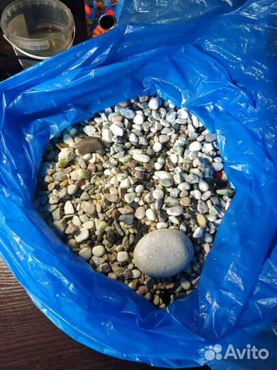 Грунт для аквариума