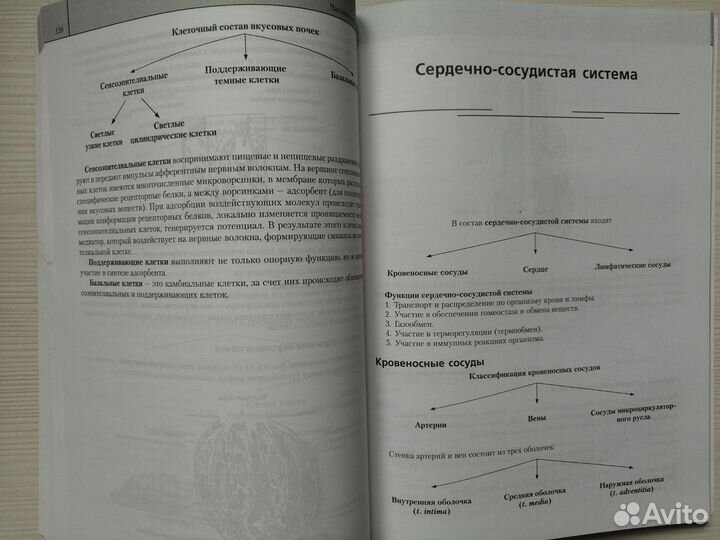 Наглядная гистология (2014г.) / Л. Гарстукова