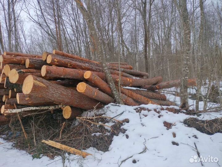 Продам лес кругляк