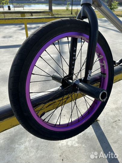 Bmx wtp trust дербан