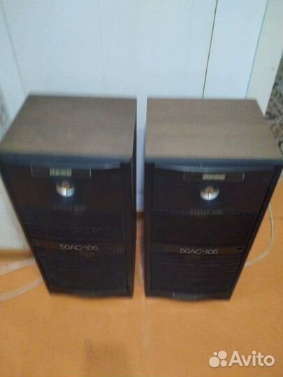 Акустические колонки вега 50 ас 106