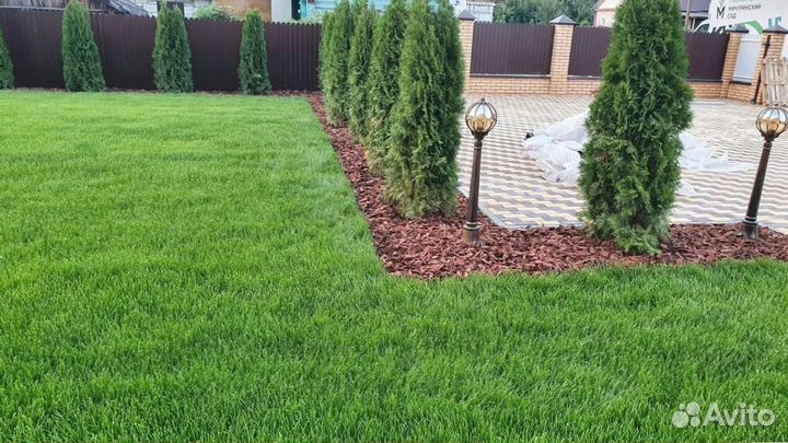 Красивый рулонный газон от профессионалов