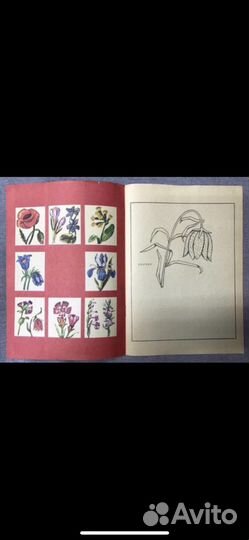 Азбукин, Д.С. Сколько ландышей в лесу