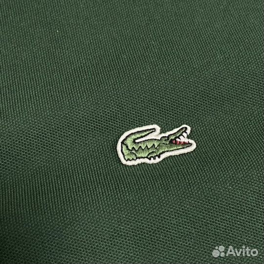 Поло lacoste