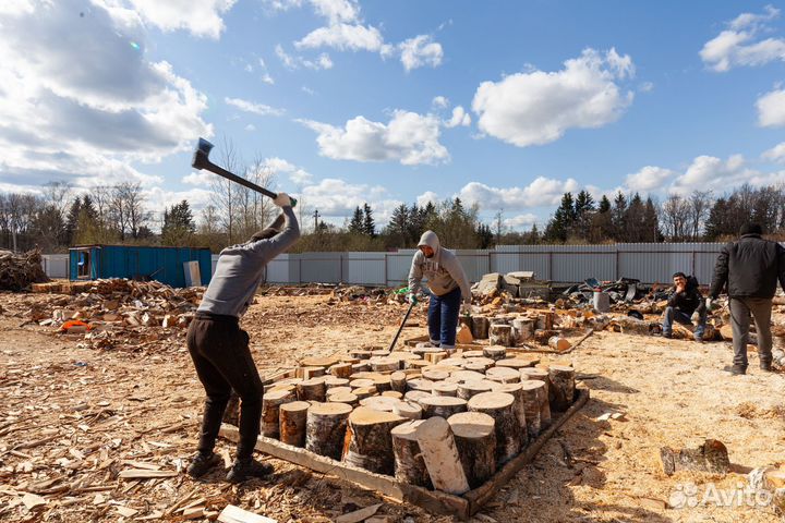 Дрова в укладку с доставкой