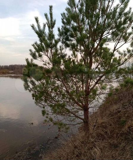 Участок 21 сот. (ИЖС)