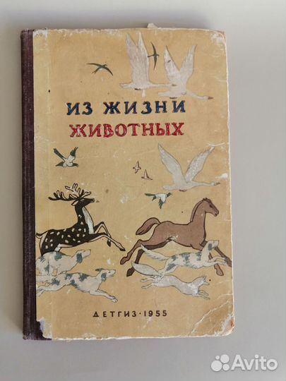 Книга
