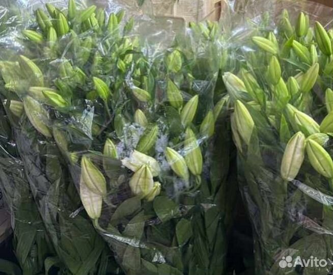 Букет из лилий цветы с доставкой