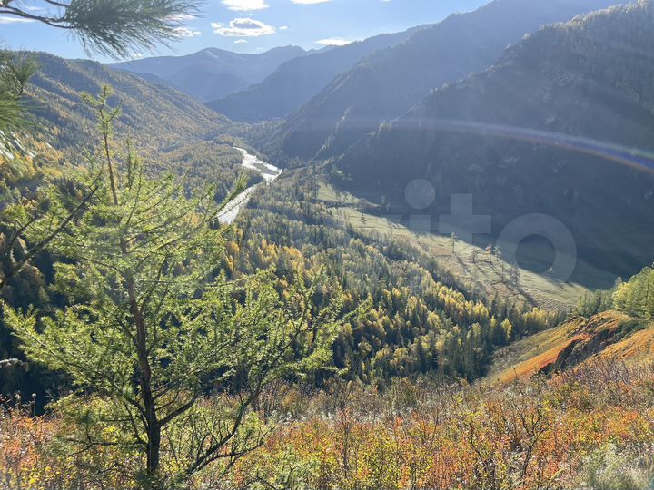 Участок 150 га (СНТ, ДНП)