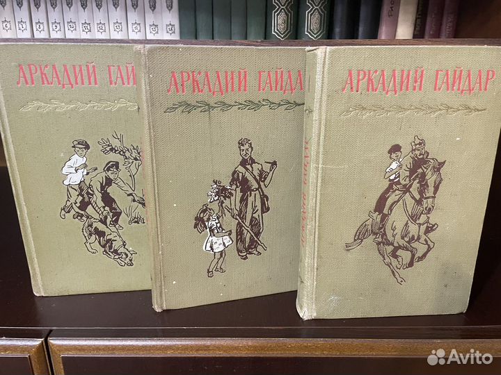 Домашняя библиотека