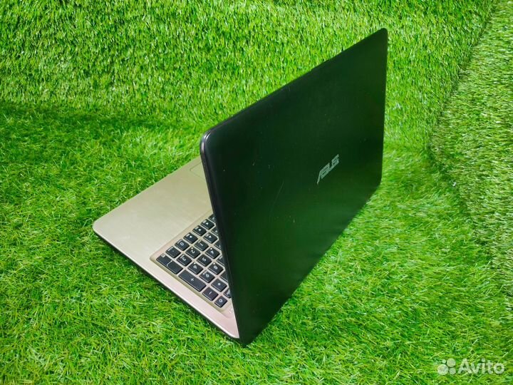 Бюджетный ноутбук для школы, офиса, дома. Гарантия