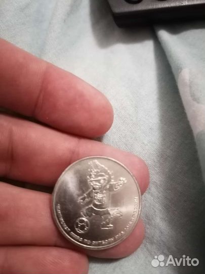 25 р волк забивака