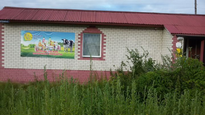 Участок 45 сот. (СНТ, ДНП)