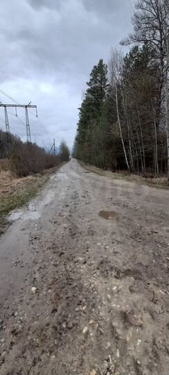 Участок 8 сот. (СНТ, ДНП)