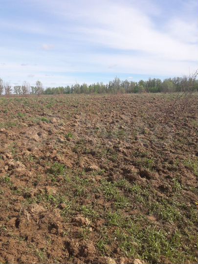 Участок 12,5 сот. (ИЖС)