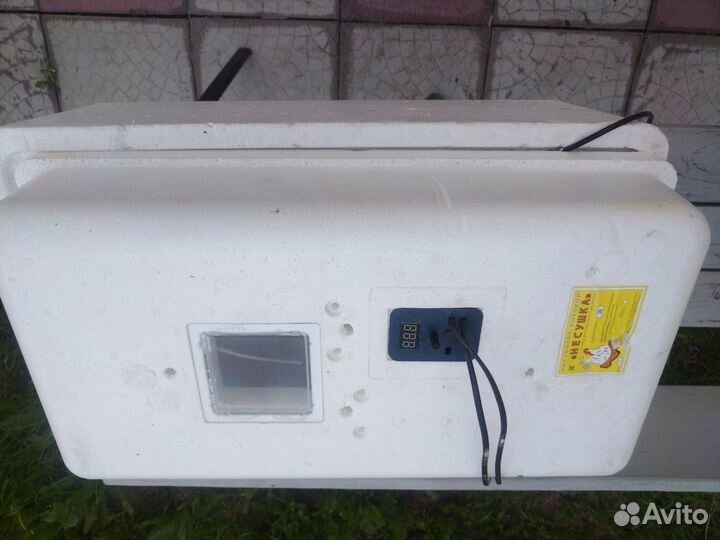 Инкубатор для яиц