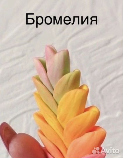 Продам формы для мыла