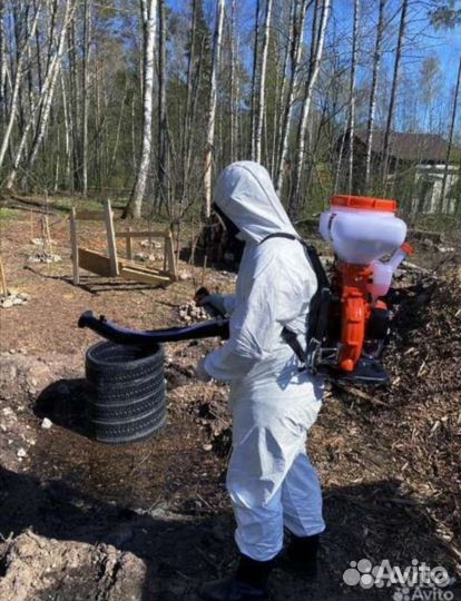 Уничтожение клопов тараканов мышей блох плесени