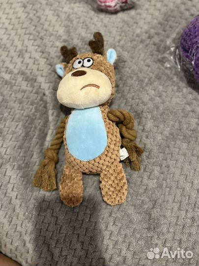 Игрушки для собак