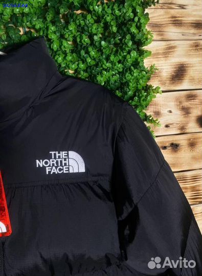 Пуховик The North Face 700