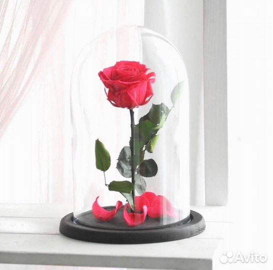 Роза в колбе