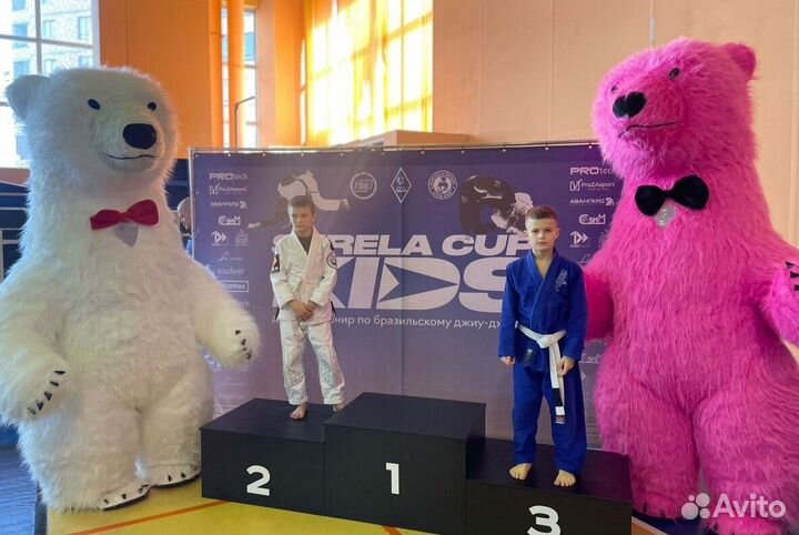 Ростовая кукла Розовый мишка Аэрокостюм