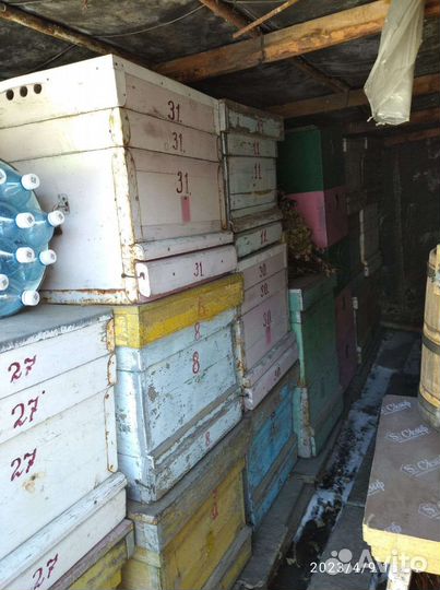 Оборудование для пасеки