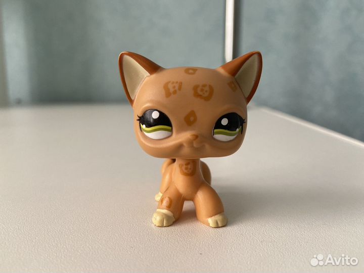 Littlest Pet Shop