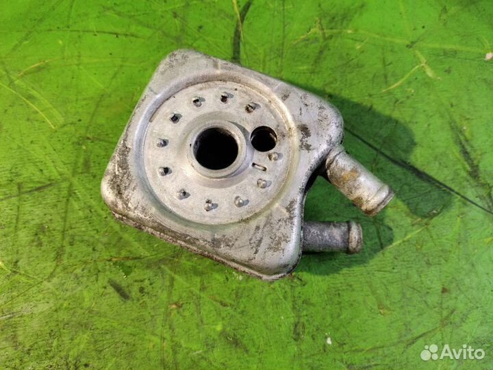 Радиатор масляный Volkswagen Passat B5 1.6