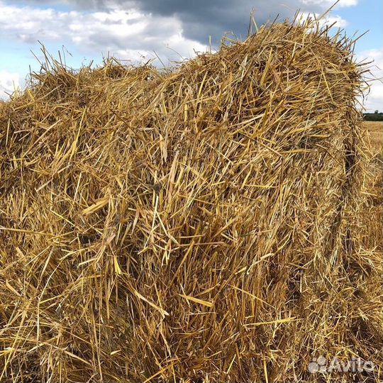 Рабочий по уходу за животными