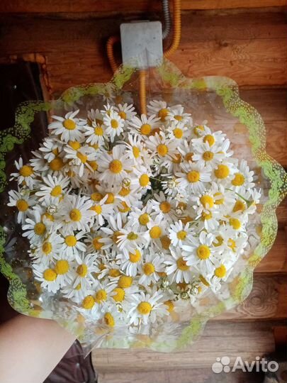 Букет цветов из ромашек