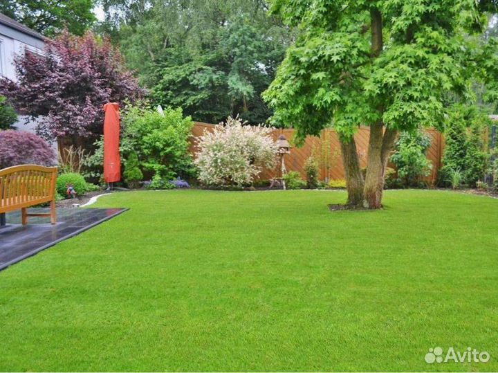 Рулонный газон. 100 гарантия приживаемости