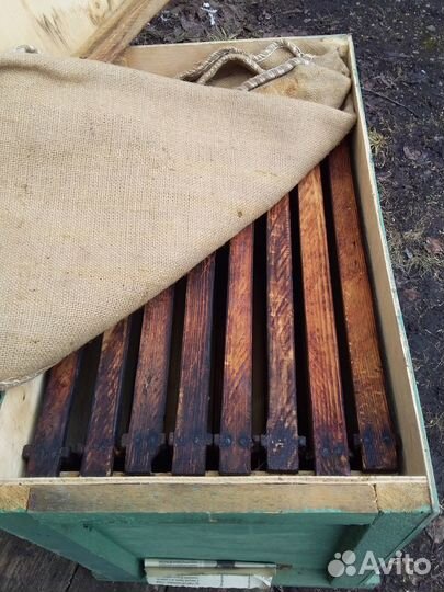 Ловушка для пчел