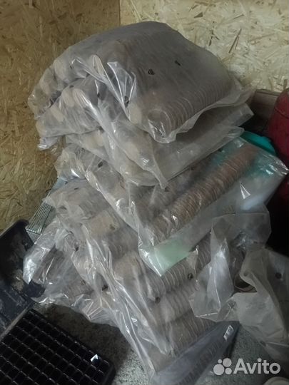 Торфяные горшки для выращивания рассады