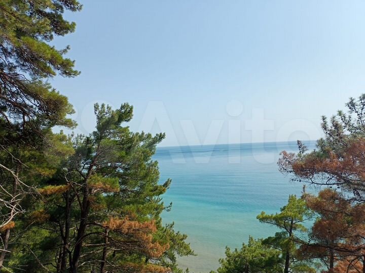 База отдыха на побережье, 16 300 м2