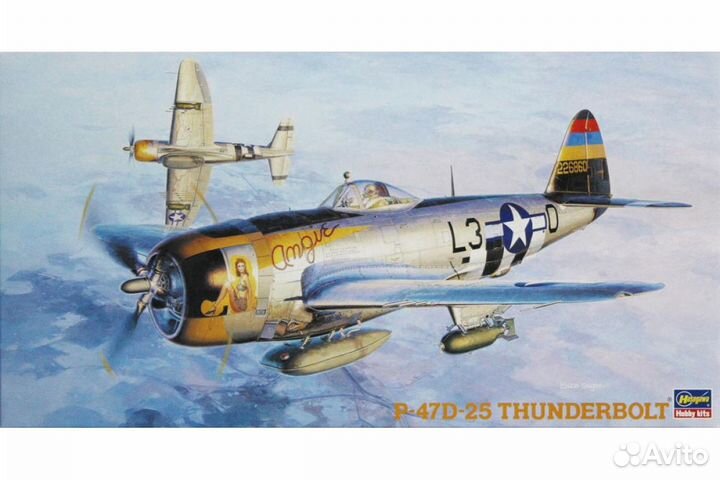 Сборная модель самолета Hasegawa 09140HG 1/48