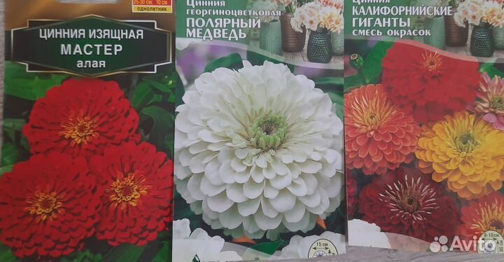 Цветы