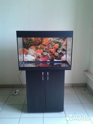 Аквариум 100 биофильтр, тумба, фон, свет