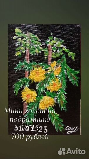 Мои картины