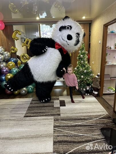 Белый Мишка/ростовая/кукла/экспресс поздравления