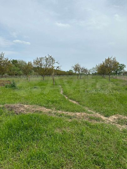 Участок 1000 га (СНТ, ДНП)